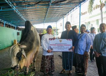Presiden dan Mensesneg Salurkan Hewan Kurban ke Masjid Agung Baiturrahman Ngawi