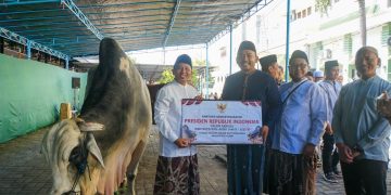 Presiden dan Mensesneg Salurkan Hewan Kurban ke Masjid Agung Baiturrahman Ngawi