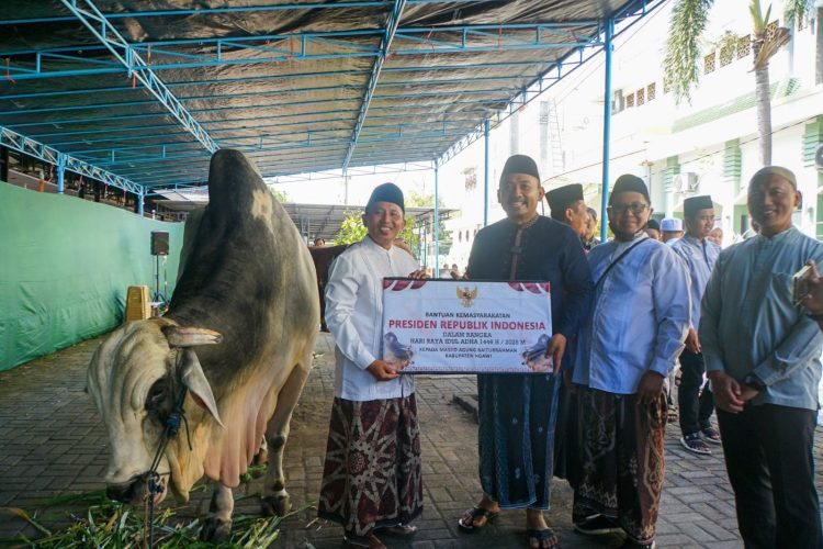 Presiden dan Mensesneg Salurkan Hewan Kurban ke Masjid Agung Baiturrahman Ngawi