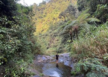 Wisata Alam Jogorogo Ngawi: Pesona Lembah Hijau dan Air Terjun Pleret