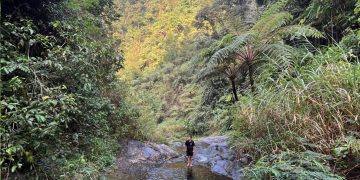 Wisata Alam Jogorogo Ngawi: Pesona Lembah Hijau dan Air Terjun Pleret