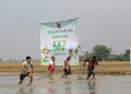 Sawah Run Race di Ngawi: Inovasi Lomba Lari di Tengah Sawah