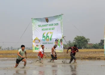 Sawah Run Race di Ngawi: Inovasi Lomba Lari di Tengah Sawah