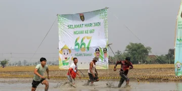 Sawah Run Race di Ngawi: Inovasi Lomba Lari di Tengah Sawah
