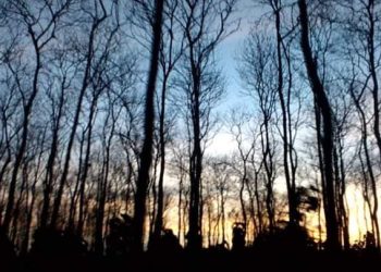 Tempat paling angker