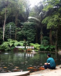Wisata di Ngawi