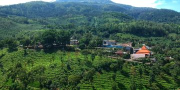 Menikmati Sejuknya Kebun Teh Jamus dan Serunya Melihat Rusa Tutul di Lereng Lawu