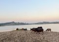Tak Punya Pantai, Ngawi Punya Waduk Kedung Bendo yang Sajikan Panorama Mirip Pantai