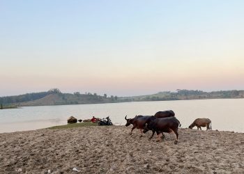 Tak Punya Pantai, Ngawi Punya Waduk Kedung Bendo yang Sajikan Panorama Mirip Pantai
