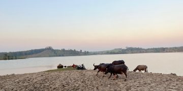 Tak Punya Pantai, Ngawi Punya Waduk Kedung Bendo yang Sajikan Panorama Mirip Pantai