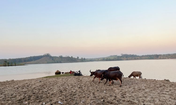 Tak Punya Pantai, Ngawi Punya Waduk Kedung Bendo yang Sajikan Panorama Mirip Pantai