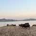 Tak Punya Pantai, Ngawi Punya Waduk Kedung Bendo yang Sajikan Panorama Mirip Pantai